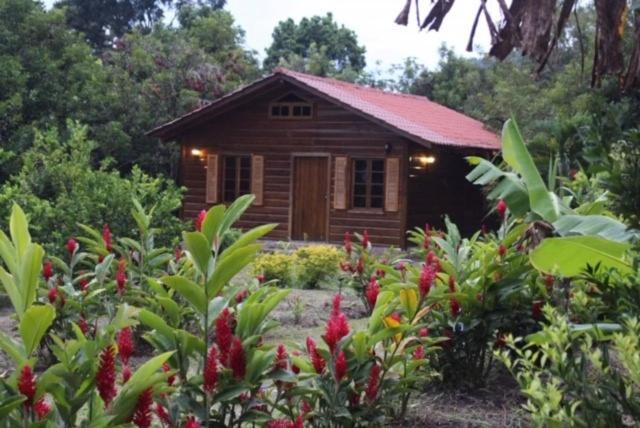 סן פדרו סולה Hospedaje En El Lago מראה חיצוני תמונה